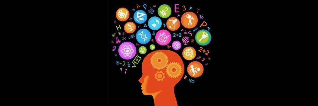 school-brain-zenit
